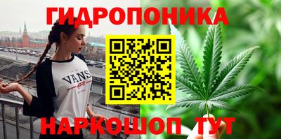 индика Ливны