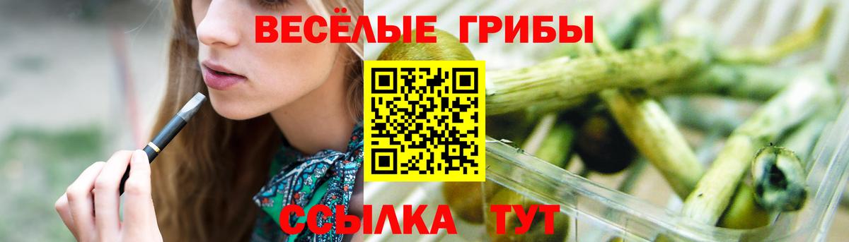 Псилоцибиновые грибы GOLDEN TEACHER  Псилоцибиновые грибы Psilocybine cubensis  Урай  Вход с VPN 